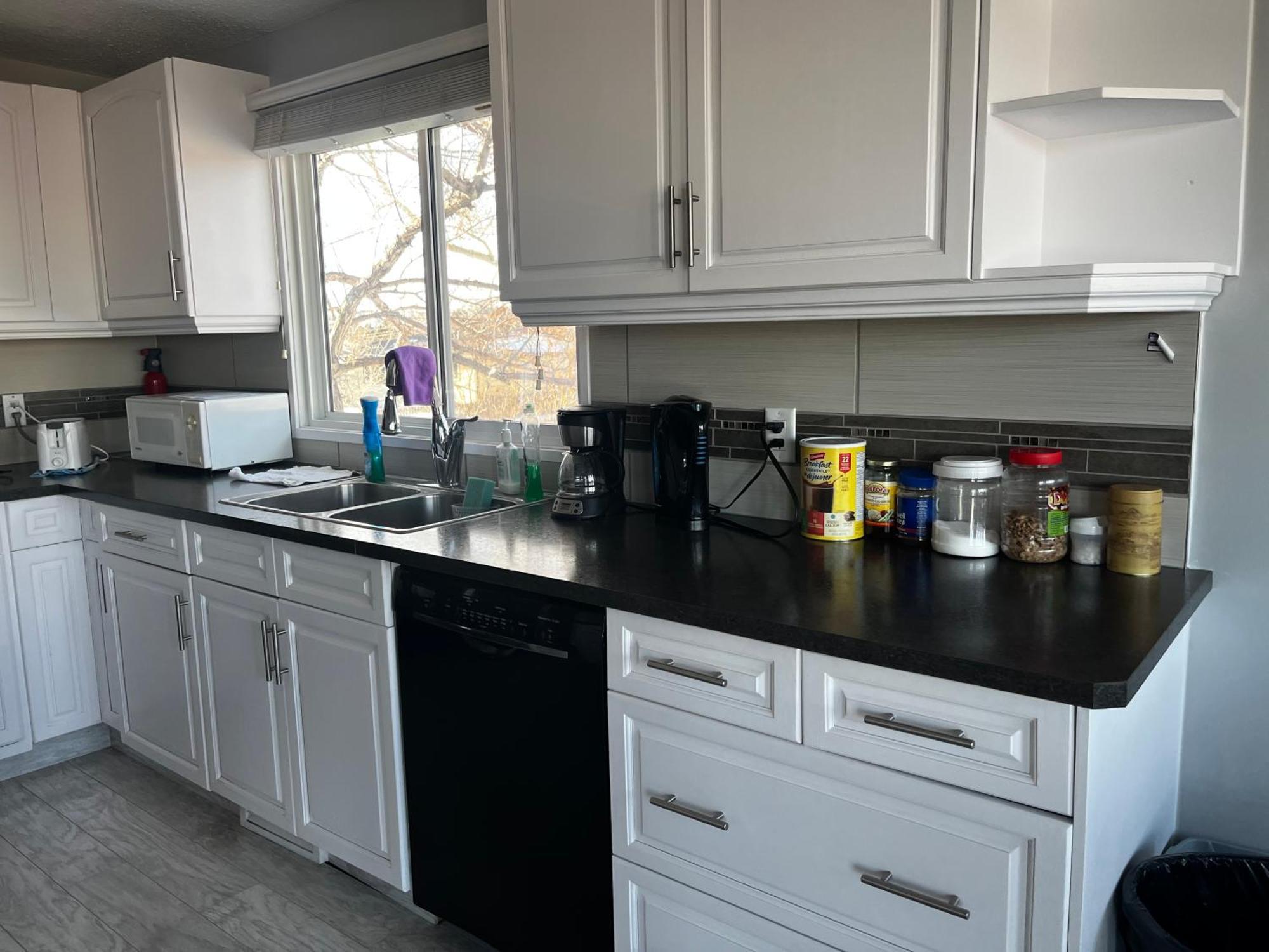 Homestay Hunter' S New Home! Calgary