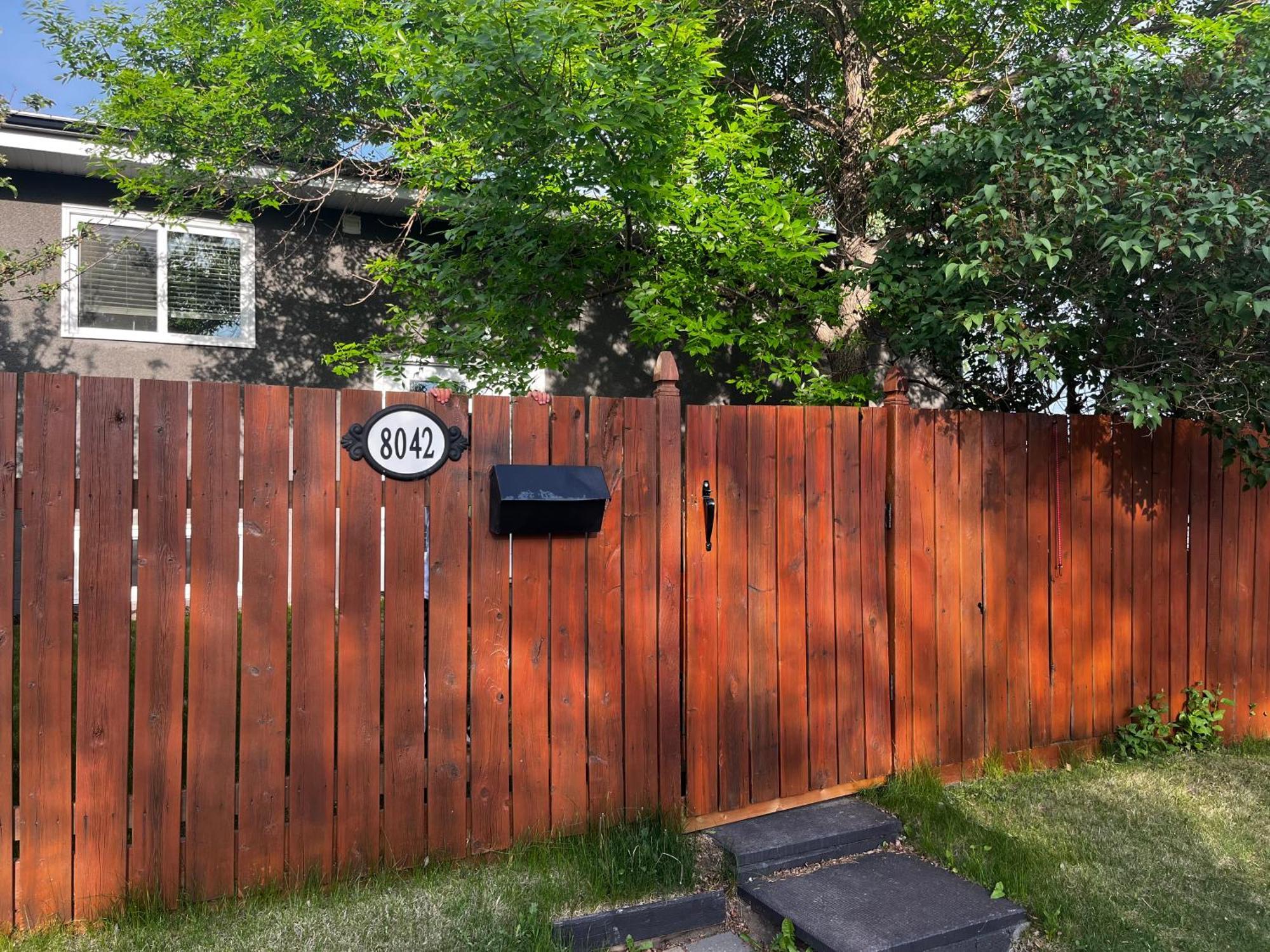 Homestay Hunter' S New Home! Calgary